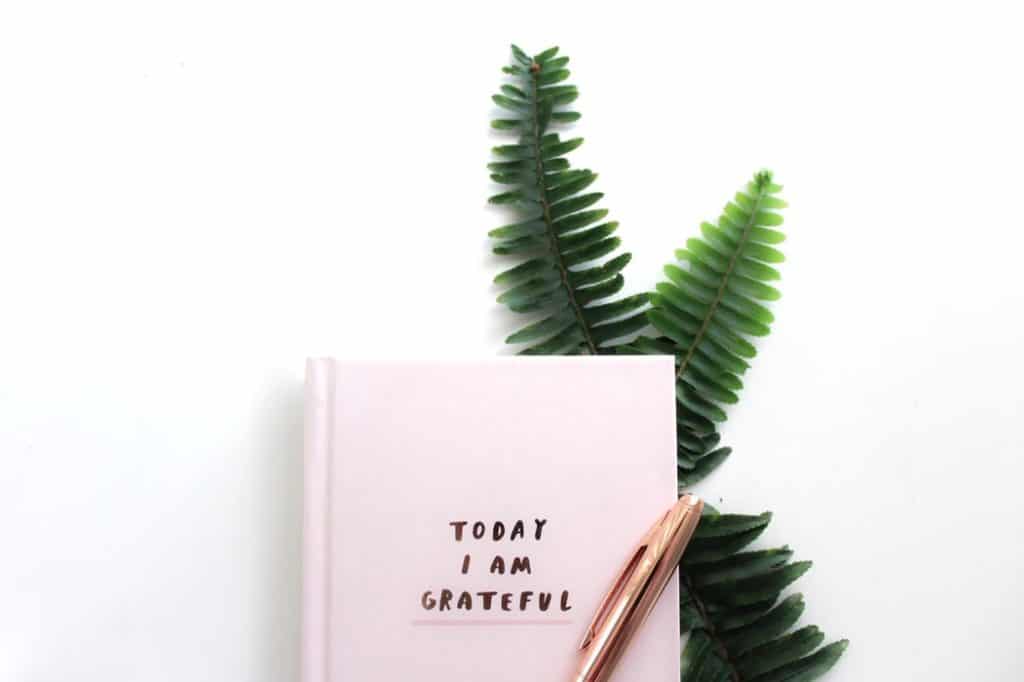 gratitude journal