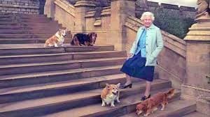 Queen and corgis